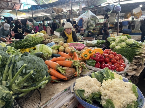 Hà Nội Day Trip- Living with locals