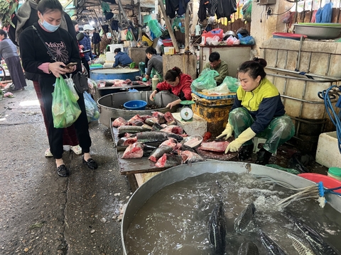 Hà Nội Day Trip- Living with locals