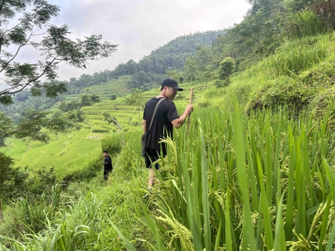 2 DAYS 2 NIGHTS CHIÊU LẦU THI MOUNTAIN, HOANG SU PHI, HA GIANG BY MOTORBIKE