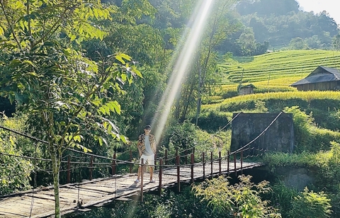 Hoàng Su Phì Mùa Lúa Chín: Bản Luốc- Bản Phùng- Chợ Phiên- Suối Khoáng Nóng