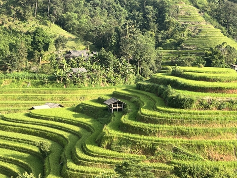 5 days Bắc Hà, Lào Cai- Hoàng Su Phì, Hà Giang by private car.
