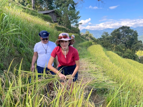 Day trip hiking Nậm Lỳ- Suối Thầu village, Hoàng Su Phì, Hà Giang