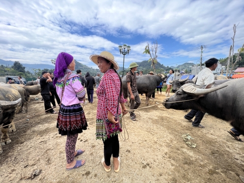 4 DAYS LOOP TOUR BAC HA, LAO CAI- HOANG SU PHI, HA GIANG BY PRIVATE CAR