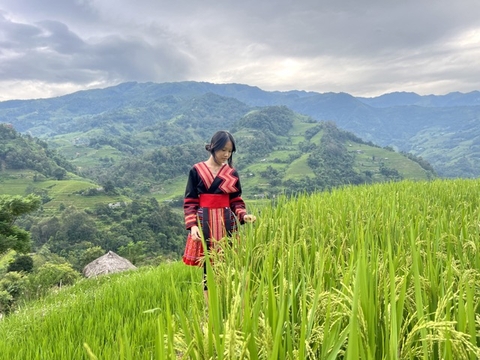 Hà Giang <=> SaPa Bus.