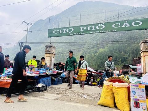 4 days 3 nights Đồng Văn- Mèo Vạc, Hà Giang by private car/ Tour xe riêng