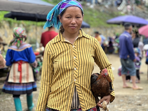 5 days Bắc Hà, Lào Cai- Hoàng Su Phì, Hà Giang by private car.