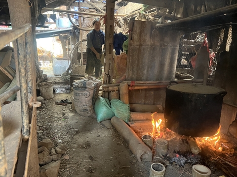 Day trip Hoang Su Phi local market + hiking on Sunday.