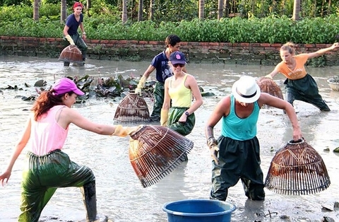 Ninh Bình- Hạ Long/ Lan Ha- Yen Duc village 4 days by private car