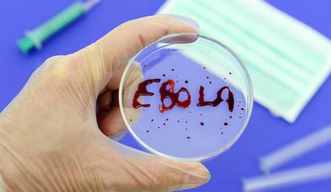 EBOLA LÀ GÌ? LÂY TRUYỀN NHƯ THẾ NÀO?