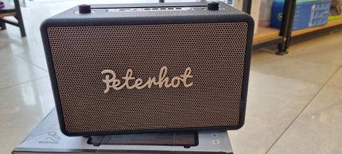 Loa Bluetooth PETERHOT A105