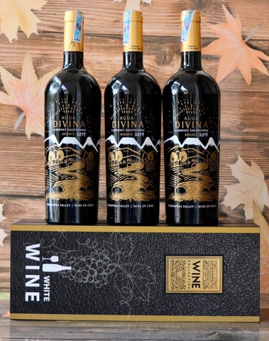 Rượu vang đỏ Agua DIVINA Cabernet Sauvignon Chile