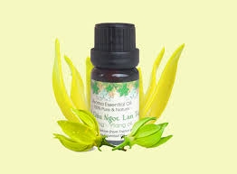 Tinh dầu Charme hương ngọc lan tây 30ml