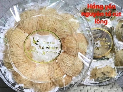 HỒNG YẾN NGUYÊN TỔ RÚT LÔNG