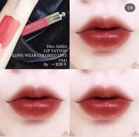 SON DIOR ADDICT LIP TATTOO 541 BACKSTAGE PROS - đỏ nâu đất