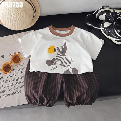 Set Áo Ngựa Quần Sọc