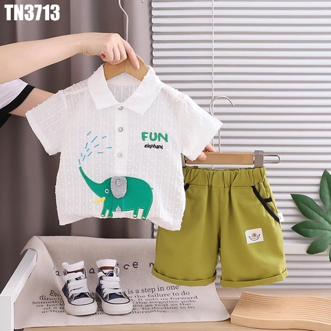 Set Áo Polo Voi Kèm Quần