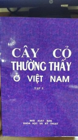 Cây cỏ thường thấy ở Việt Nam (Tập 5)
