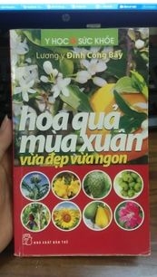 Hoa quả mùa xuân vừa đẹp vừa ngon