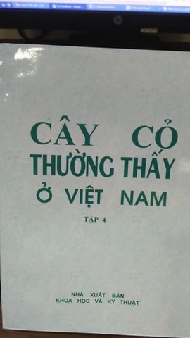 Cây cỏ thường thấy ở Việt Nam (Tập 4)
