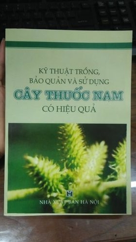 Kỹ thuật trồng, bảo quản và sử dụng cây thuốc Nam có hiệu quả