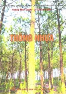 Thông nhựa