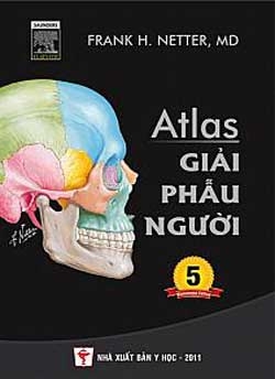 Atlas Giải phẫu người