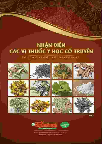 Bộ ảnh nhận diện các vị thuốc Y học cổ truyền - khổ A3