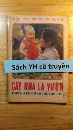 Cây nhà lá vườn chữa bệnh phụ nữ, trẻ em