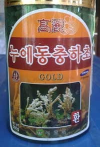 Đông trùng hạ thảo-Tằm (Hàn Quốc)