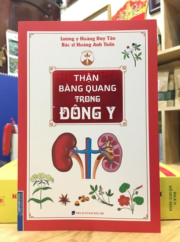 Thận Bàng quang trong Đông y