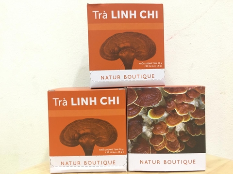 Trà Linh chi Organic tiêu chuẩn Châu Âu