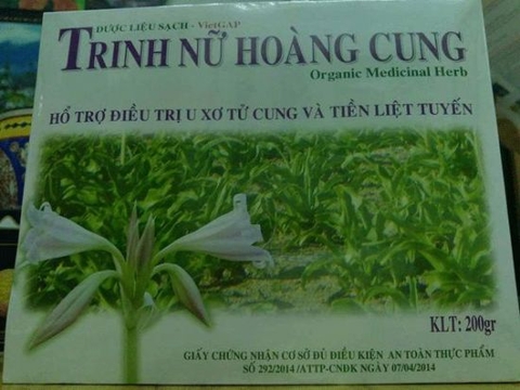 Trinh nữ hoàng cung