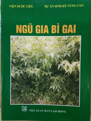 Ngũ gia bì gai