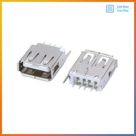 Chân USB Type A loại Cái kiểu 1