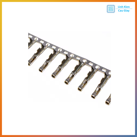 Lõi Header DuPont 2.54mm Cái (10 con)