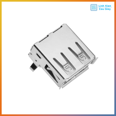 Chân USB Type A loại Cái kiểu 2