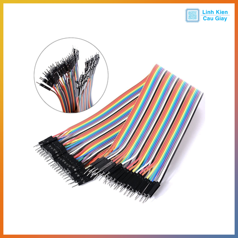 Dây Bus 40P 20CM loại tốt (Đực - Đực)