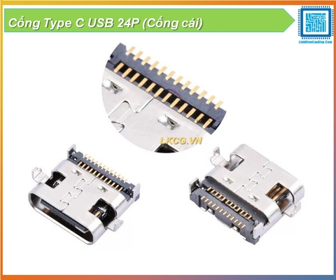 Cổng Type C USB (Cổng cái)