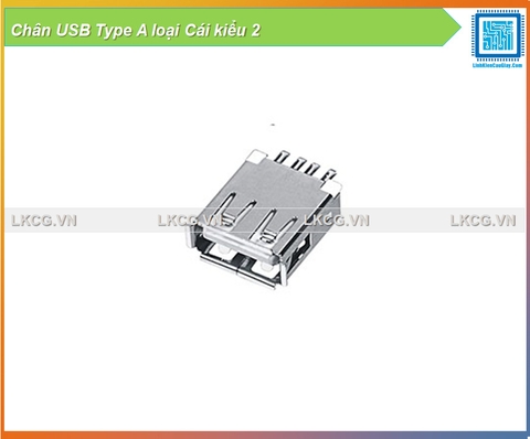 Chân USB Type A loại Cái kiểu 2