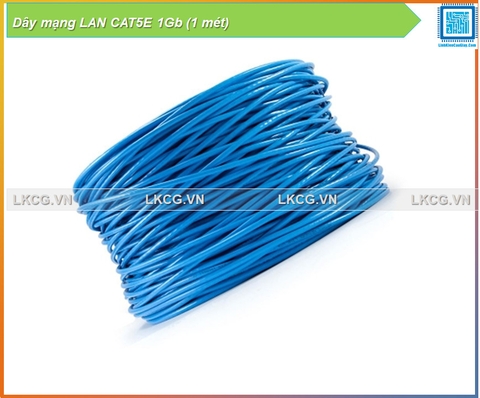 Dây mạng LAN CAT5E 1Gb (1 mét)