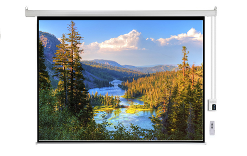 MÀN CHIẾU ĐIỆN DALITE 250 INCH P250ES, TỶ LỆ 1:1