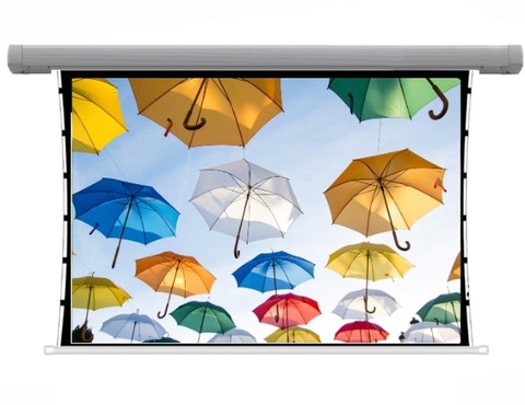 MÀN CHIẾU TAB TENSION DALITE 300 INCH TAB300W, TỶ LỆ 4:3