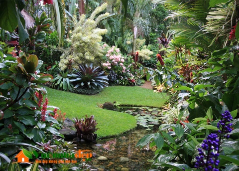 thiet-ke-vuon-tropical-vuon-nhiet-doi