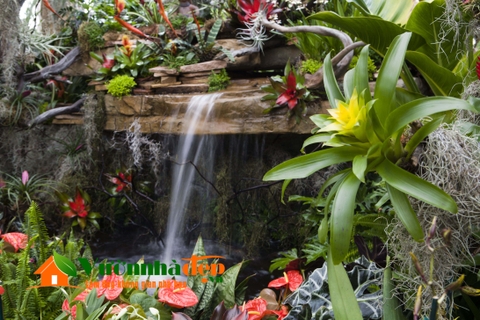 thiet-ke-vuon-tropical-vuon-nhiet-doi