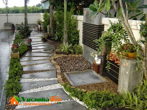 Lối đi trong sân vườn