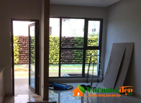 Thi công tưá»ng cây Golden Star