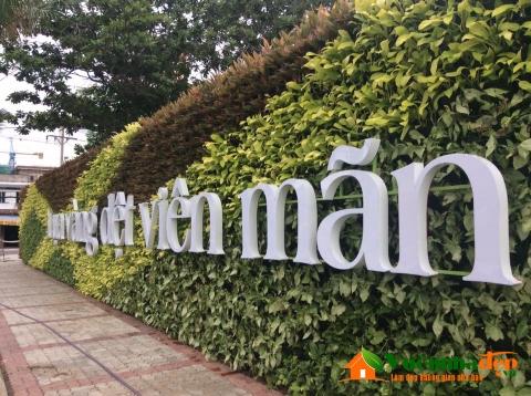 Nhận thi công tường cây, trồng cây trên tường.0913342211