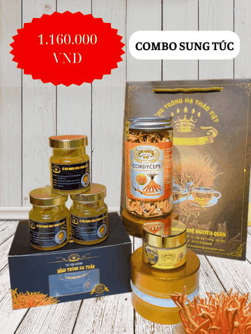 COMBO SUNG TÚC