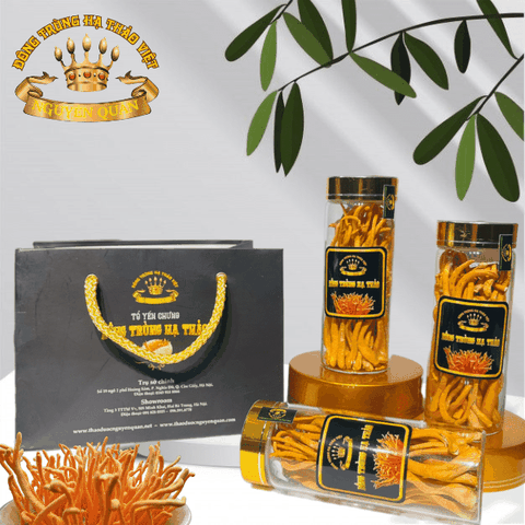 ĐÔNG TRÙNG HẠ THẢO KHÔ 10G ( LOẠI 1 )