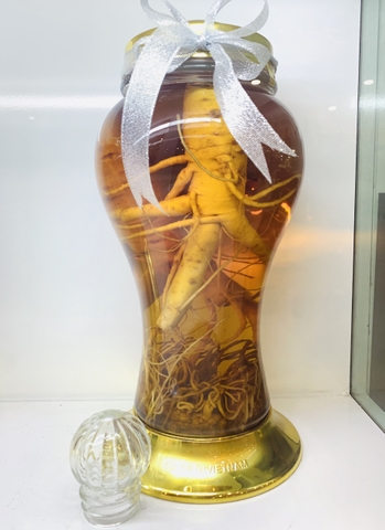 BÌNH NGÂM ĐÔNG TRÙNG HẠ THẢO + SÂM 3 LÍT